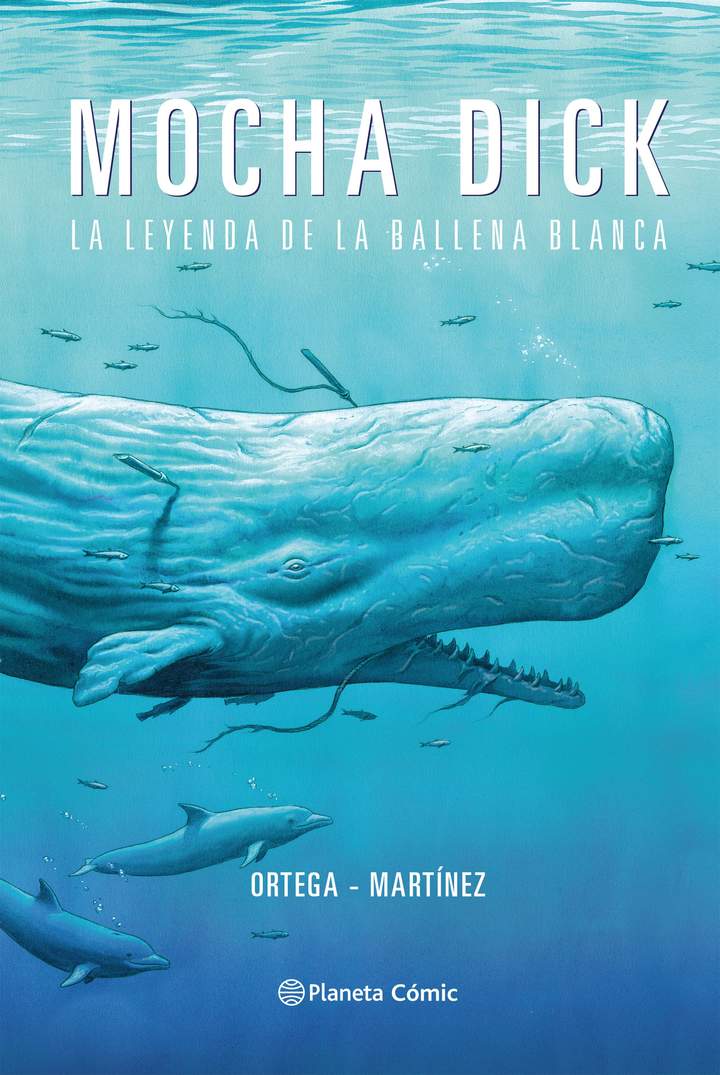 Imagen portada
