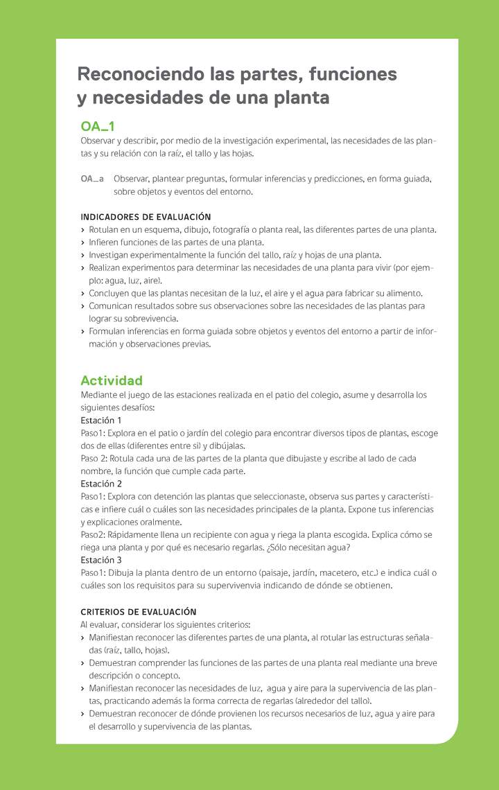 Evaluación Programa - OA01 - Reconociendo las partes, funciones y necesidades de una planta Imagen portada