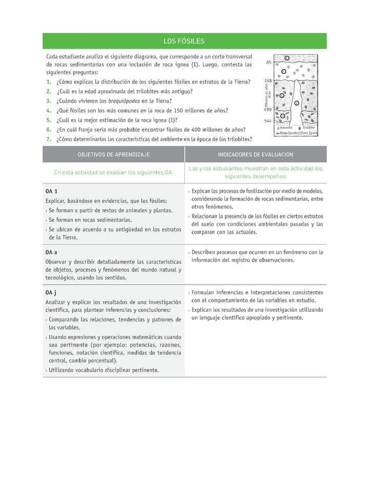 Evaluación Programas - CN1M OA01 - U1 - LOS FÓSILES Imagen portada