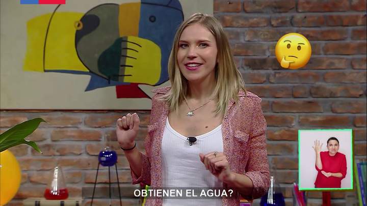 Aprendo TV: Ciencias Naturales 5° y 6° básico - Capítulo 15 - OA05 - La fotosintesis Imagen portada