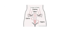 Imagen portada