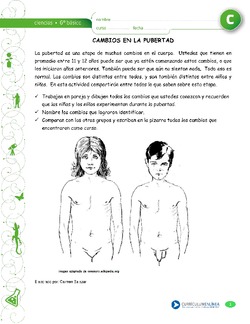 Cambios durante la pubertad Imagen portada