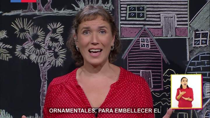 Imagen portada