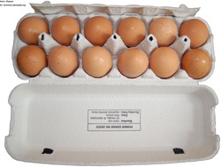 Caja de cartón con huevos Imagen portada