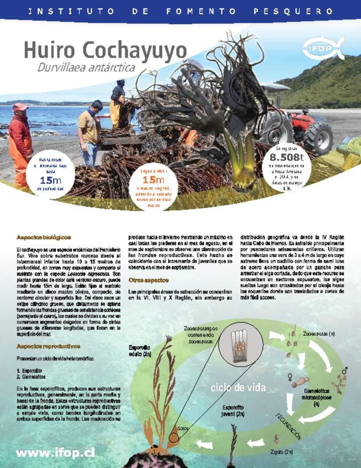 Imagen portada