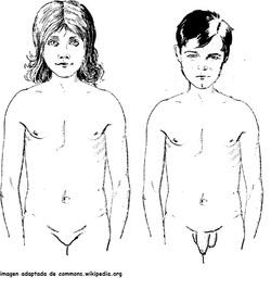 Cuerpo de niños púberes Imagen portada