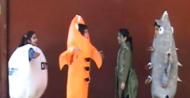 Video: Recetario de Mar Imagen portada