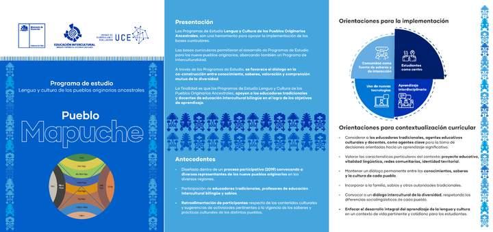 Tríptico Programa de estudio: Pueblo Mapuche Imagen portada
